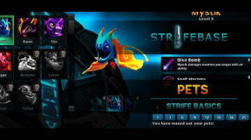 Strife Basics: Pets