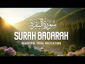 Surah Al-Baqarah Full (سورة البقرة) | Beautiful &amp; Powerful Tilawat | Alaa Aqel | Habibullah TV
