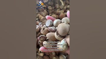 #shorts #trending #arecanut #exportimport #exporter