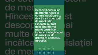 Transport ilegal de masă lemnoasă în Hîncești