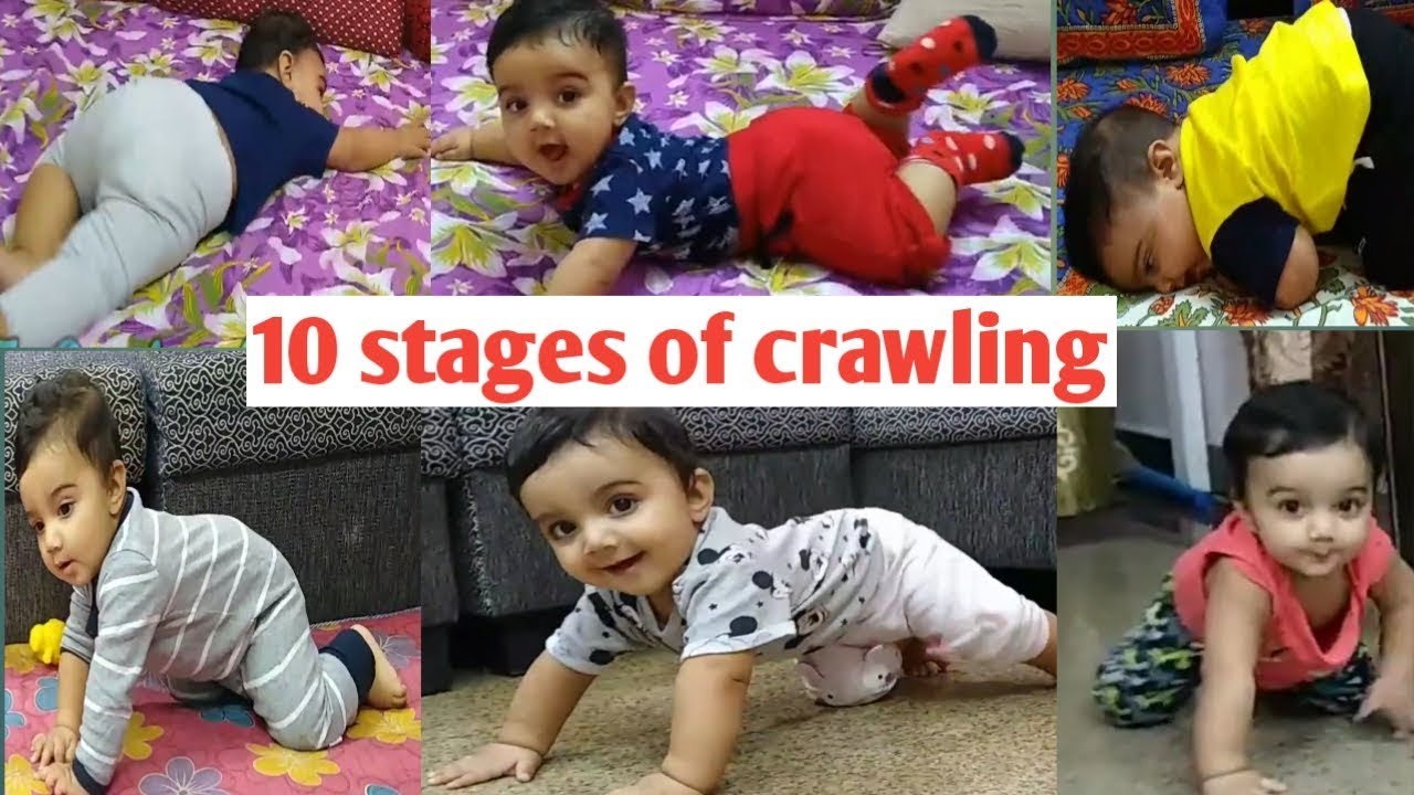 6 Most Common Types of Baby Crawls