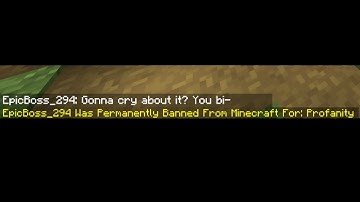 Minecraft Chat Reporting Be Like: