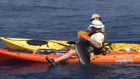 Extreme Kayak Fishing:  Matt Moyer Catches and Releases Striped Marlin in Baja
