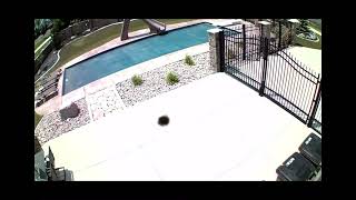 Bee attacks security camera