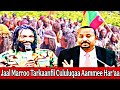 28 7 2025 Tarkaanfii Cululuqaa Jaal Marroo Bilxiginnaa Oromiyaa Guyyaa Har Aa Afaan Oromoo 28 7 2025 Tarkaanfii Cululuqaa Jaal Marroo Bilxiginnaa Oromiyaa Guyyaa Har Aa Afaan Oromoo