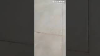 kalau bosa
