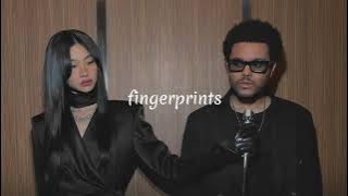fingerprints - keenan te // speed up