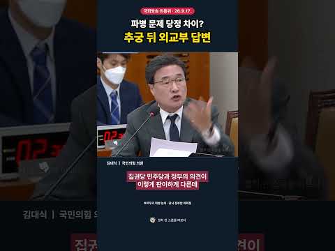 김대식 “집권당과 정부 의견 왜 다르나”…호르무즈 파병 추궁에 외교부 답변