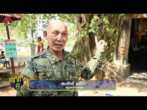 ใครดวงตก ดวงไม่ดี ต้องมาที่นี่ I HIGHLIGHT คชาภาพาไปดู EP30
