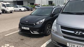 Hyundai Kia цены в Корее. Аукцион Glovis 14.06.19