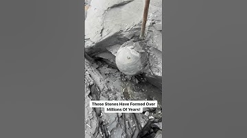 Finding Fossils On Derelict Beaches For Jurassic Age Creatures! #fossils #hunt #coastal #forage #sea