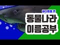 [동물나라] 바다동물｜동물이름｜어린이동물공부｜동물공부｜영어이름