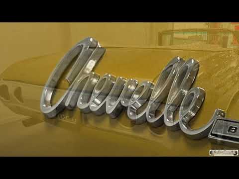 user video