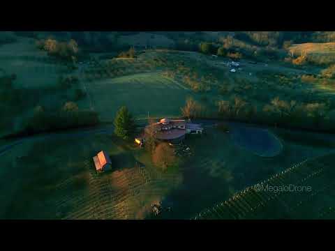 Video: Shenandoah National Park: Phau Ntawv Qhia Ua tiav