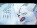 WhiteStar's Rage - Warrior Cats OC SpeedPaint