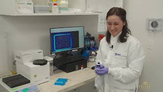 Celebrity Lincoln Reference Laboratory Highlights Net Worth