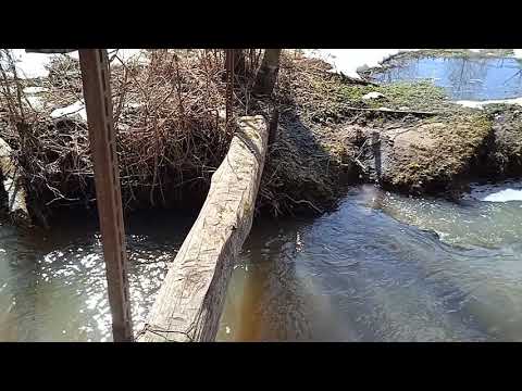 Приток Москва-реки / Moskva River tributary