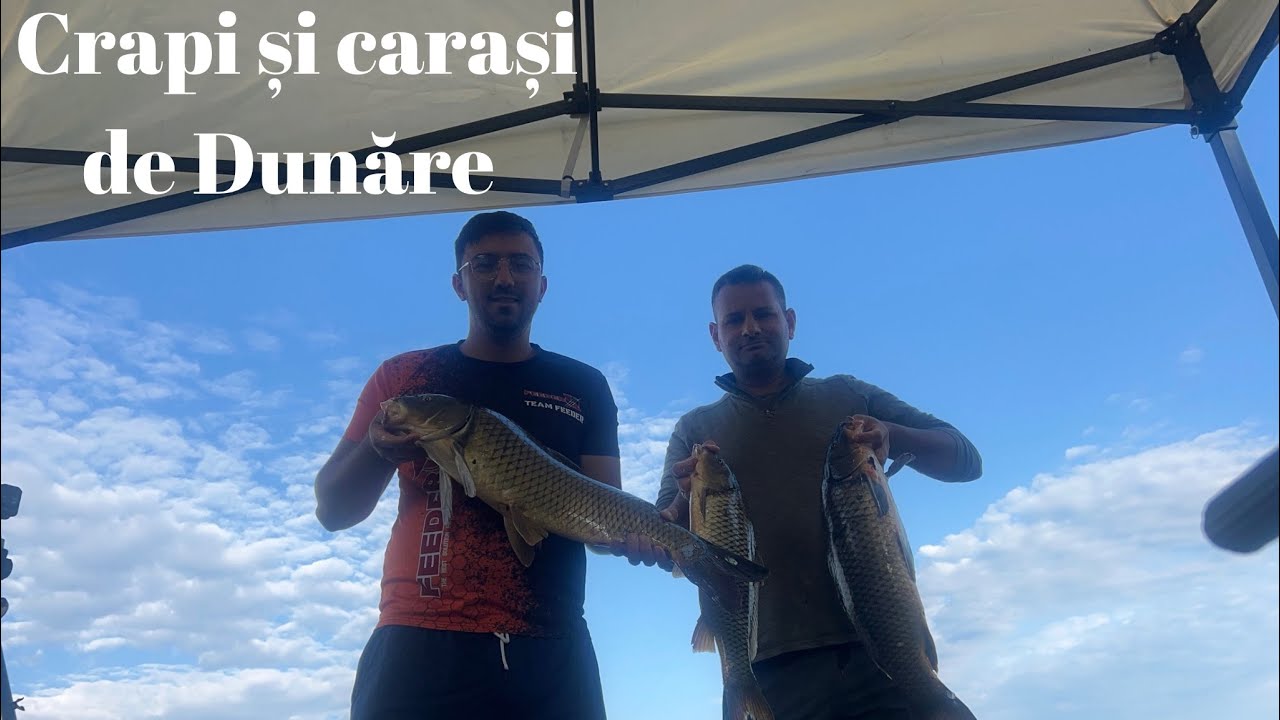 Pescuit la crap pe Dunăre in condiții extreme!!!