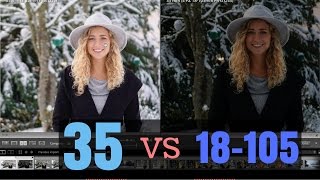 Sony 18-105 F/4 vs Sony 35mm F/1.8