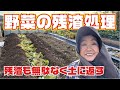 残渣処理のやり方【残渣】【残渣処理】【肥料】【片づけ】