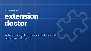 Extension.js: extension doctor