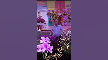 Lễ đón bằng xã đạt chuẩn nông thôn mới kiểu mẫu