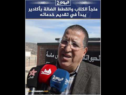 ملجأ الكلاب والقطط الضالة بأكادير يبدأ في تقديم خدماته