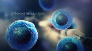 (IOMSN) Understanding the Roles of B Cells in Multiple Sclerosis