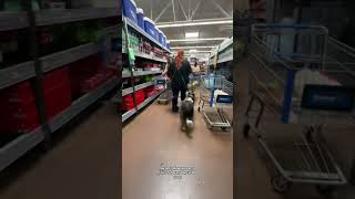 Famous Walmart is NOT pet friendly. Leave your pets at home!! #shorts #viral #rollbackthefakes #servicedogs Net Worth