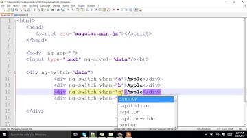 ngSwitch in Angular JS