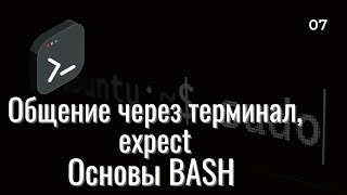Основы BASH | expect, who, mesg, autoexpect