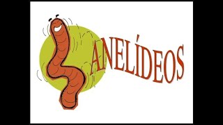 BIOLOGIA - Anelídeos (Resumo)