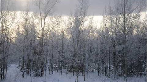 Timelapse Experiment with Nikon D90 tethering