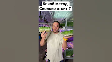 Методы выращивания  за 1 минуту бизнес идеи Микрозелень заработок без вложений