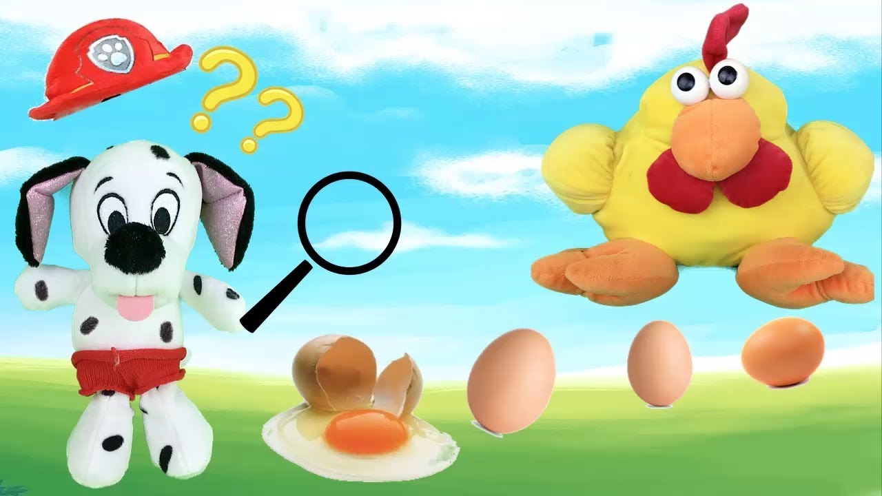 Nombre De La Gallina De La Patrulla Canina
