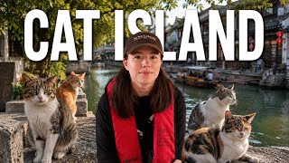 I Found Shanghai’s Secret Cat Island (and China’s Most Beautiful Water Town)