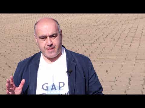 GREEN TV    Chkhenkeli, დედოფლისწყარო, ზეთისხილის ბაღები