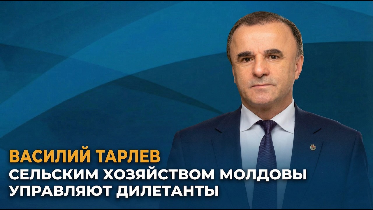 Василий Тарлев: сельским хозяйством Молдовы управляют дилетанты