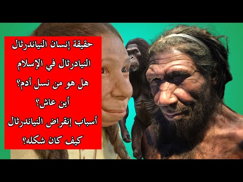من هو انسان النياندرتال و كيف إنقرض