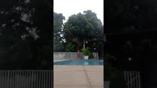 31 De Janeiro De 2022