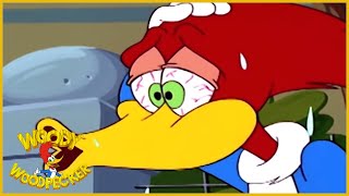 Woody Woodpecker | Spring Cleaning | Woody Woodpecker Full Episodes | Kids Movies | Videos for Kids