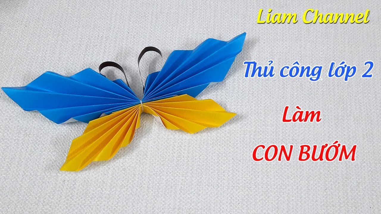 Cách gấp con bướm bằng giấy quá đơn giản/ Paper Butterfly | cách làm bướm giấy – tin tức Z công nghệ