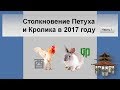 Столкновение Петуха и Кролика в 2017 году часть 1