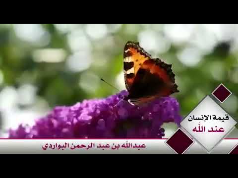 الشيخ عبدالله البواردي قيمة الإنسان عند الله