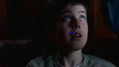 BeGaze Video - Scanpath Video