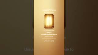Sunlight Whisper Lo Fi 2025