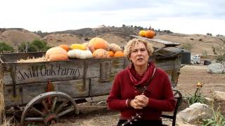 Faith, From Wild Oak Farms, Redlands Ca