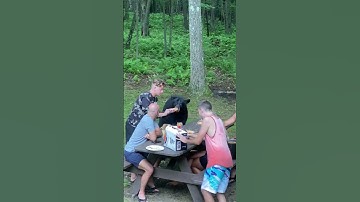 Nothing To See Here, Just Having A Casual Picnic
