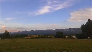 Programme International Des Arbres De Paix Moment Pause Nature Sur Le Plateau De La Petite Crau