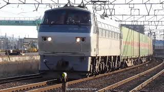 JR貨物　EF66 101が牽引する55ﾚ貨物列車を岸辺駅で撮影(H31.3.31)